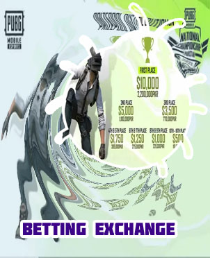 Overall winner baji bet meaning